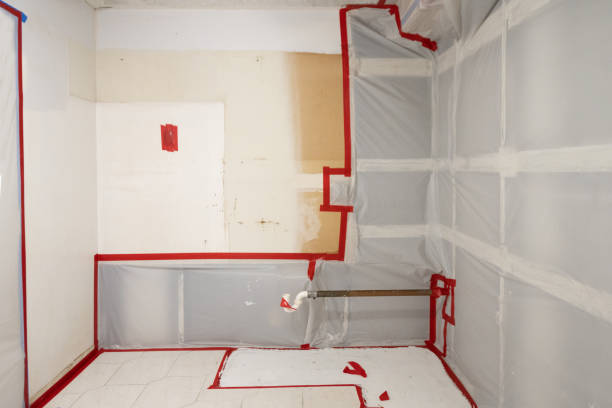 Dehumidification Services in Wright City, MO