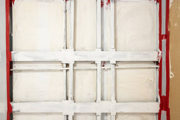  Wright City, MO Mold Removal Pros