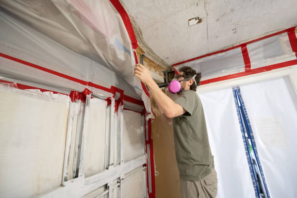 Best Mold Odor Removal Services  in Wright City, MO
