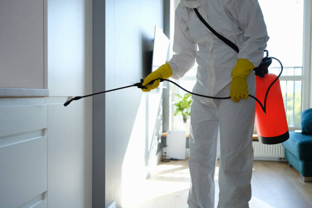 Best Post-Construction Mold Inspection  in Wright City, MO