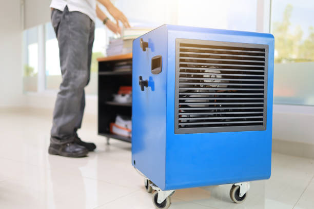 Best Commercial Mold Inspection  in Wright City, MO