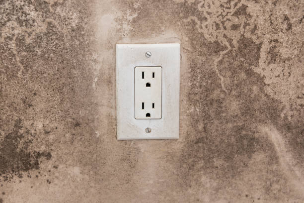 Mold Remediation for Vacation Homes in Wright City, MO